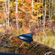 Illustration for article titled 2019-10-13 Drive to Chaffeys Lock
